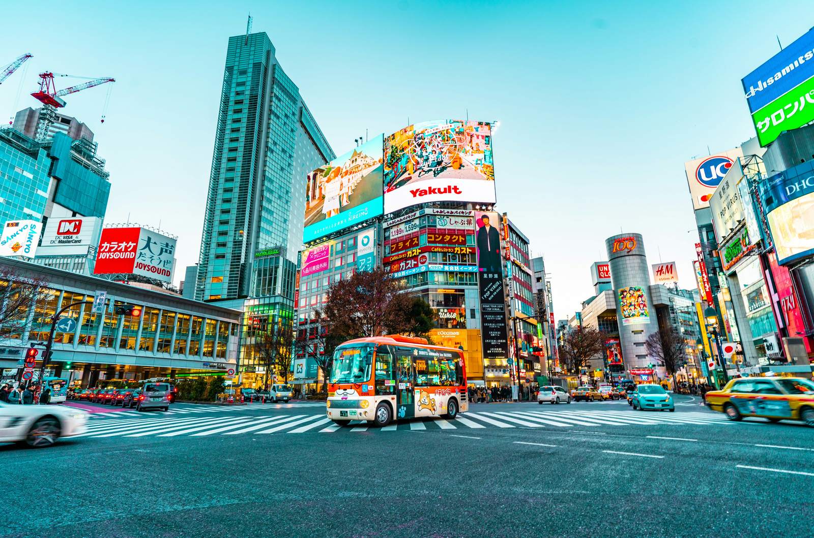 Shibuya Crossing in Tokyo, teach English in Japan with ESLstarter